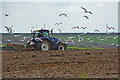 Torridge : Field & Tractor