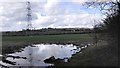 Fields with Pylon