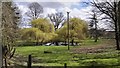 Small Tributary of the River Wey