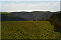SS2323 : Torridge : Grassy Field by Lewis Clarke