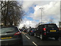 Stuck in traffic on a saturday morning entering Newton Abbot