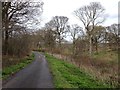 TQ8531 : Mounts Lane, near Rolvenden by Chris Whippet