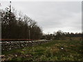 Wall by the roadside to Burnfoot