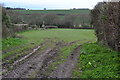 Field view in Meon Valley