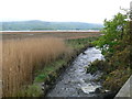 Afon Dwynant reaching the Mawddach estuary