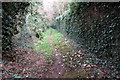 Footpath to the A4421