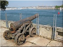 SX4553 : Cannon, Mount Edgcumbe Battery by Philip Halling