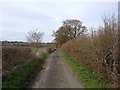 Brick Kiln Lane, near Ulcombe