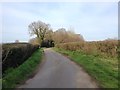 Tattlebury Lane, near Headcorn