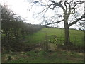 Footbridge near Walton Head Farm