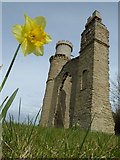 SO8842 : Daffodil and Dunstall Castle by Philip Halling
