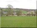 Grassland south west of Brinkheugh