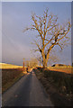 Farm road near Sibbaldbie