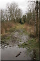 Flooded path, Hermitage Wood