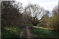 Trans Pennine Trail towards Canklow Woods