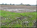 SE5557 : Waterlogged farmland, west of Overton Road by Christine Johnstone