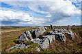 Stones at Cefn Hirgoed