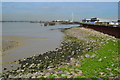 Thames shore near Frog Island