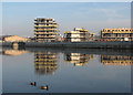 New houses at Trent Basin