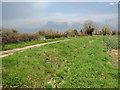 Dry ditch beside Long Road