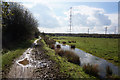 Trans Pennine Trail at Woodhouse Washlands