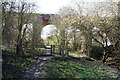 Railbridge at Woodhouse Washlands