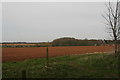 Footpath from Dunston Pillar to Dunston Heath