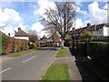 Elmhurst Avenue, Pembury