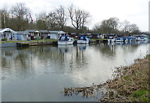 TL1697 : Boats moored along the River Nene by Mat Fascione