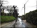 TM1354 : School Lane, Coddenham by Geographer