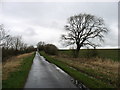 The lane to Hesket Newmarket