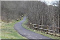 Path up to Foxes Lane