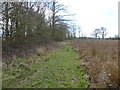 SU0898 : Field edge near Manor Farm by Vieve Forward