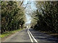 SU4722 : Brambridge Road by Colden Common by Steve Daniels