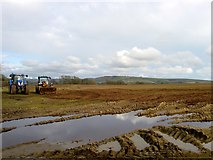 TQ1813 : Pond Lag/Pond field/Spring Field/Old Furze Field by Simon Carey