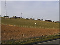 Fields by Folkestone Road, Hougham