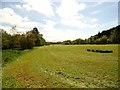 Grass field beside the Derwent