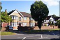 Houses along Canterbury Road