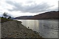 Beach at Fort William