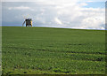 Chesterton Windmill and Windmill Hill