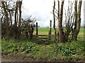 Footpath to Shrubland Home Farm