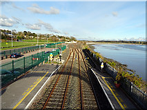 W7773 : The junction of the Cobh and Midleton lines at Glounthaune  by John Lucas