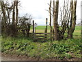 Footpath to Shrubland Home Farm