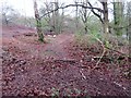 Footpath on Hesworth Common