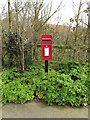 TM1251 : Sandy Lane Postbox by Geographer