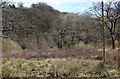 Cwm Philkins below Llys-pentwyn-uchaf