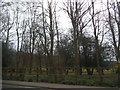 Reigate Park from Cockshot Hill