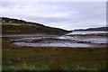 Beach, Torrisdale