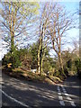 Holmbury Hill Road at the junction of Holmbury Road