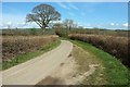 Stoke Mill Lane